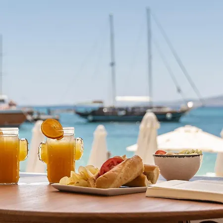 Cactus Casa vacanze Agia Anna (Naxos)