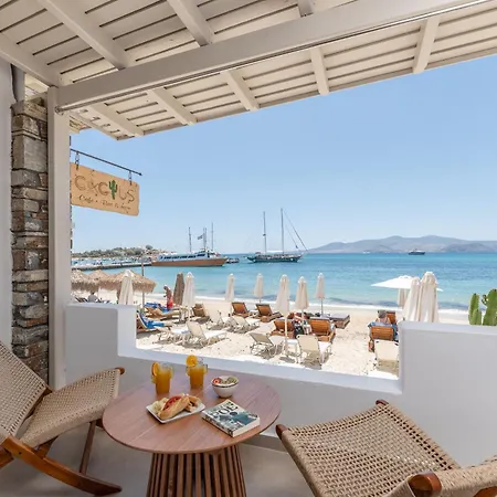 Cactus Casa vacanze *