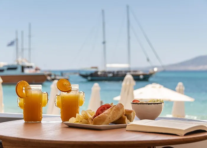 Cactus بيت للعطل Agia Anna (Naxos)